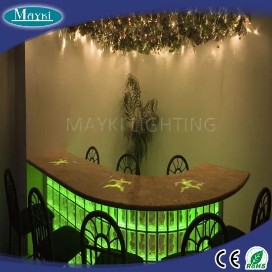 16W RGB LED 13 color autorun lighting fiber optic lighting kit