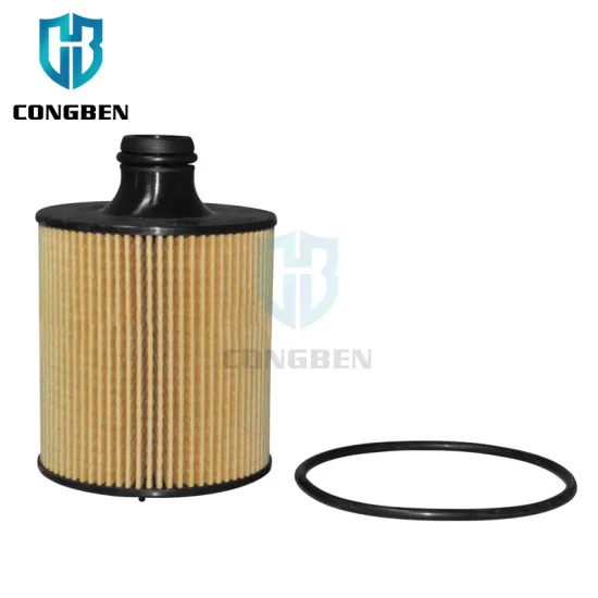 Wholesale Car Oil Filter Suppliers in China for Audi Q7 Q8 A8 (057198405D 057115561S 9A719840510)