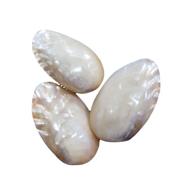 Hot Sale 6-8CM Polished Pearl Shells - Natural Crafts for Art, Collectible Decorations & Gift Jeweler" 

However, to make it more SEO-friendly and concise, you might consider:

"6-8CM Polished Pearl Shells - Natural Craft Decorations & Jewelry Gifts