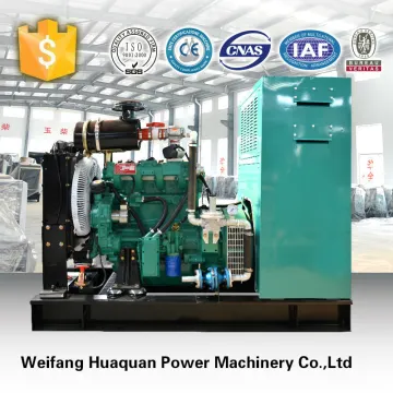 factory price gas or biogas generator from china