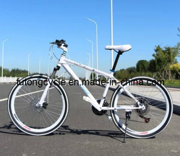 Folding Bike with Nice Quality