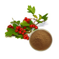 Natural Hawthorn Berry Fruit Powder