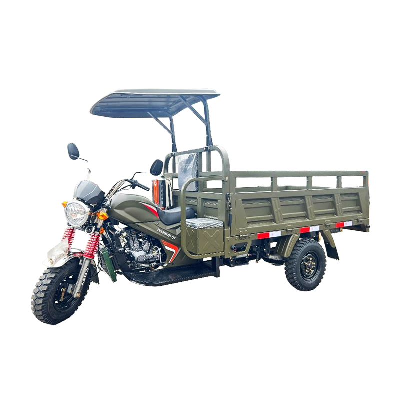 Sturdy Normal Tricycle for Urban Commuting