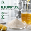 Preparación de enzima glucoamilasa para aplicaciones de fermentación y azúcar de almidón