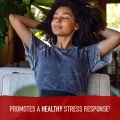 Support de stress comprimés Ashwagandha Stress anxiété SOULIPE