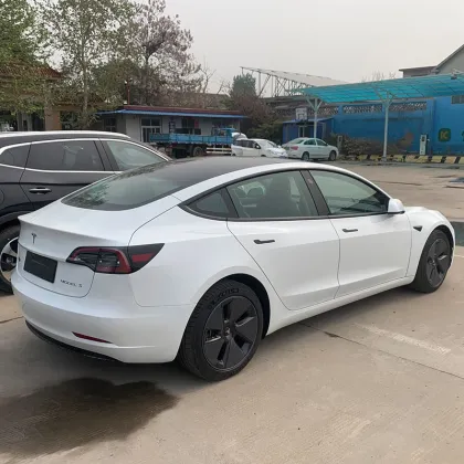 China's Market for 4-Wheel New Energy Vehicles: Focus on Tesla Model 3, Electric EV Cars for Adults