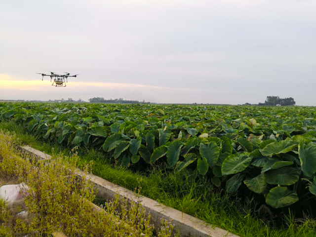 Pesticide spraying