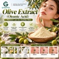 Extrato de azeitona com 20%–98% de ácido oleanólico para formulações cosméticas e nutricionais