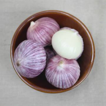 Solo garlic from 2018 crop