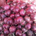 High Quality Fresh Red Onions