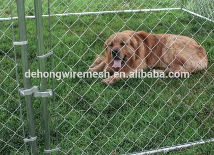 dog kennel wholesale , chain link dog kennel lowes