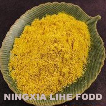 Bright yellow dehydrated pumpkin powder