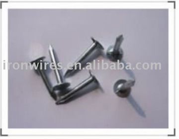Common Wire Nail (factory)