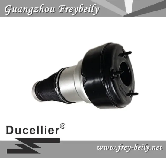 Mercedes S-Class air suspension spring