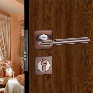 Door Locks and Handles Manufacture Factory (FDL75N)