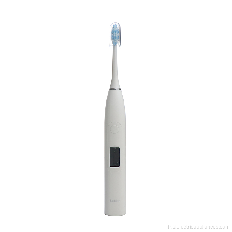 Étui de voyage pour brosse à dents électrique étanche IPX7 couleur blanche