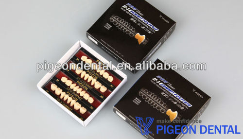 PIGEON SP-3 Summit composite denture teeth,posteriors