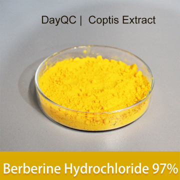 Coptis Root Extract Berberine Hydrochlorure Powder for Bulk