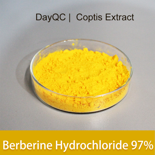 Coptis Raiz Extract Berberina Pó de cloridrato para a granel