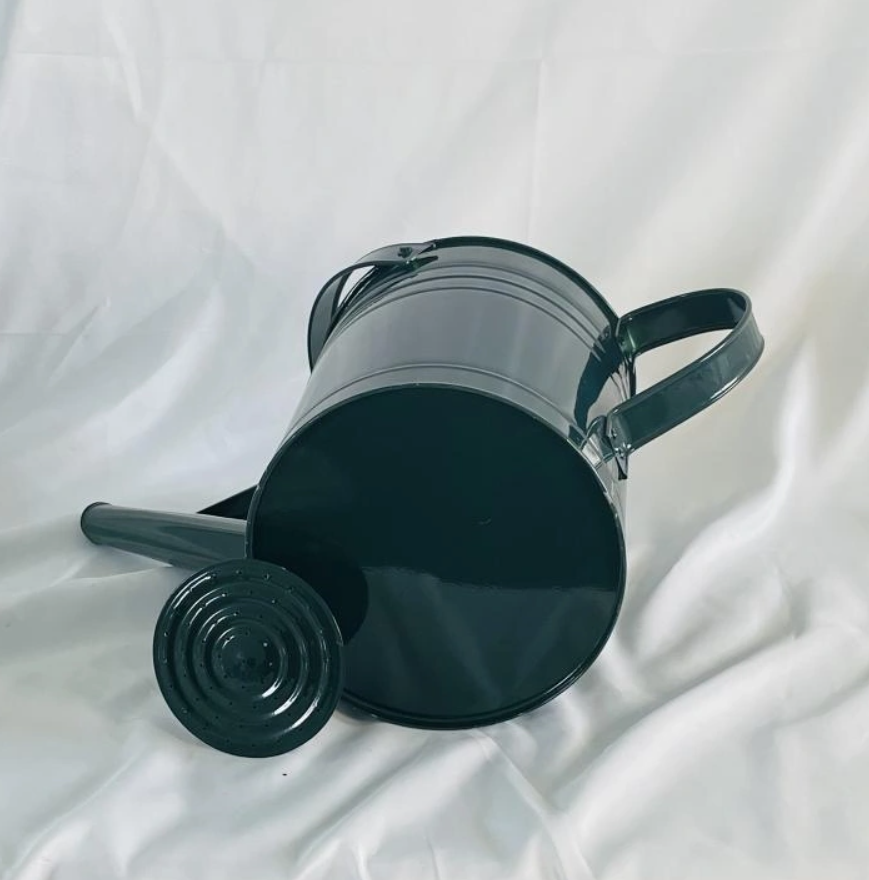 Large capacity custom metal watering can