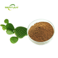 Natural Cactus Extract powder