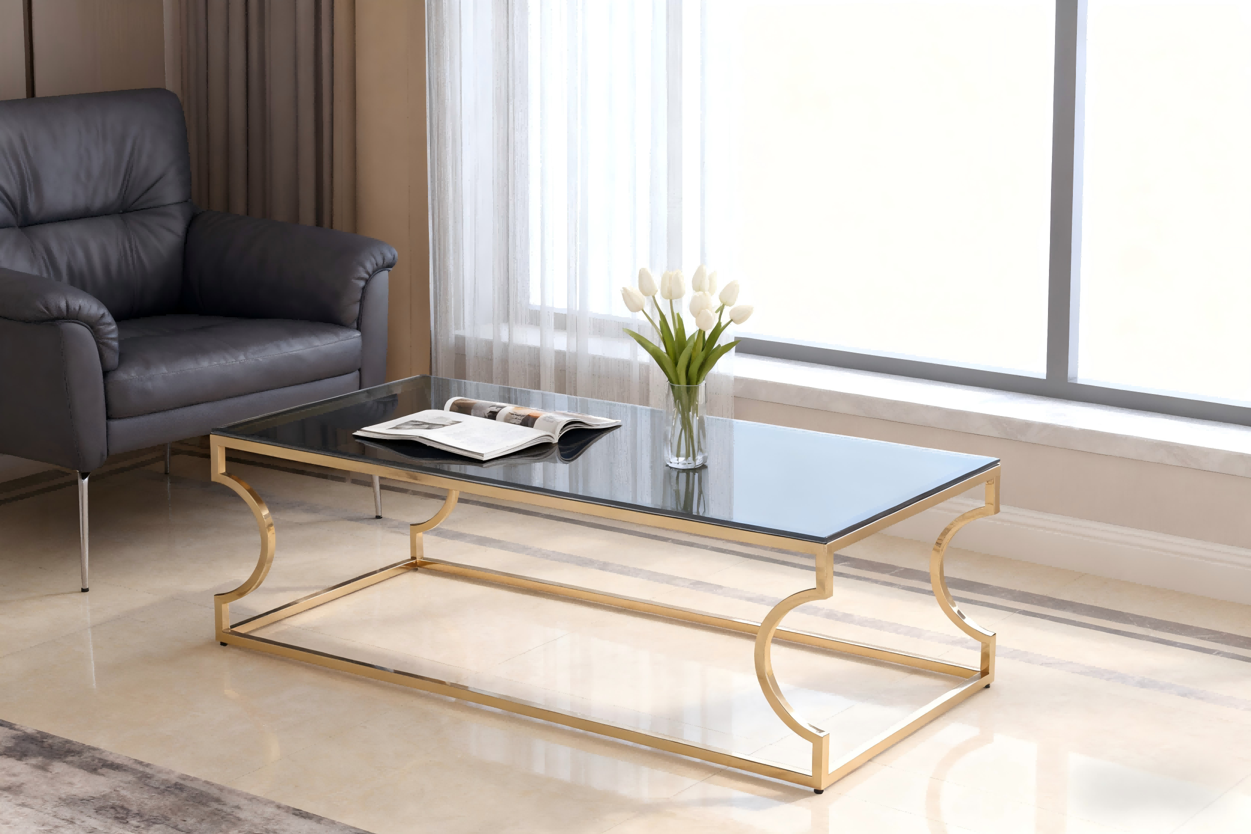 TL-AS16G modern coffee table