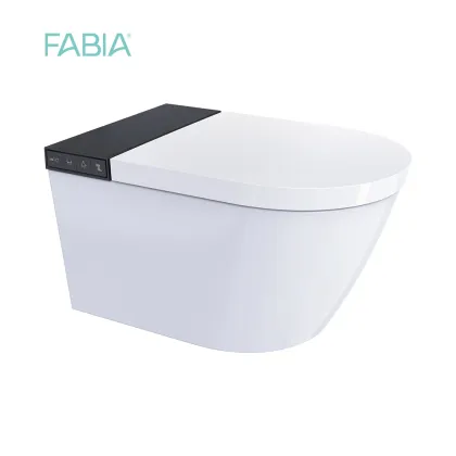 Smart Wall Mounted Toilet System