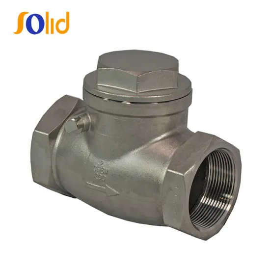 SS304 /316/BSP Swing Check Valve 200 PSI