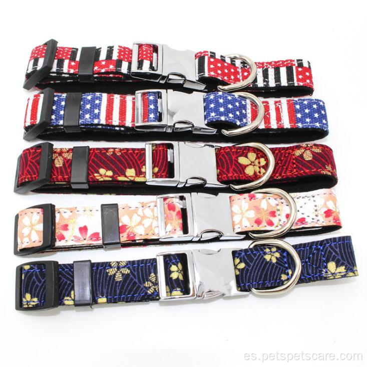 Nuevo estilo Nice Fashion Innovative Printing Dog Collar