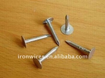Large round head roofing nail