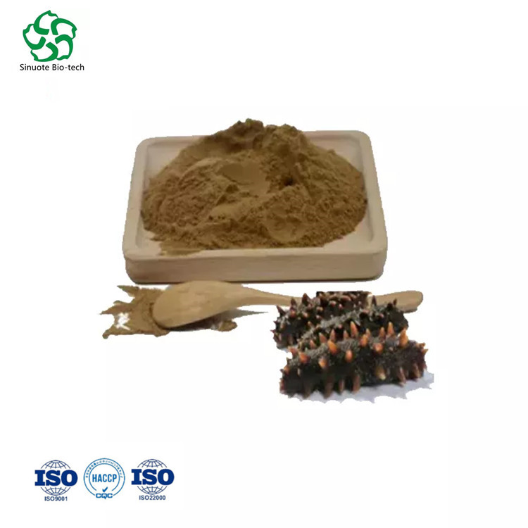 Natural Sea Cucumber Polysaccharide 10%-50%