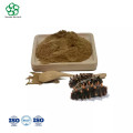 Natural Sea Cucumber Polysaccharide 10%-50%