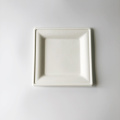 Kompostierbare quadratische weiße Bagasse -Platten 20x20 cm