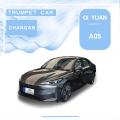 Changan Qiyuan A05 145 Трансценденција