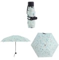 Werbe Logo Mini 5 Falten Kapsel Regenschirm