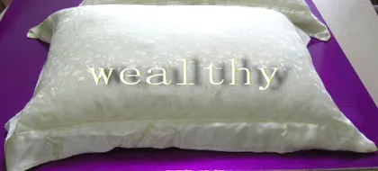 100% pure silk Pillow