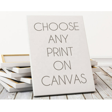 Modern UV Printed Gallery Wrap Canvas for Indoor Still Life