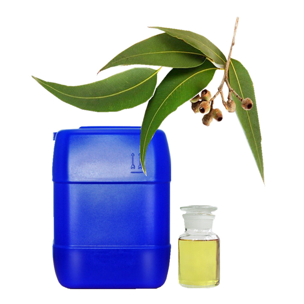 Bulk Organic Pharmaceutical Grade Eucalyptus Globulus Oil