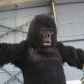 Hình ảnh hoạt hình King Kong chất lượng cao