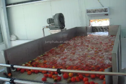 Carrot puree production line