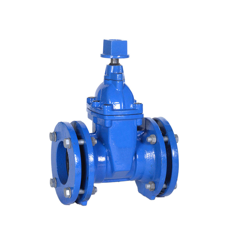 Stainless Steel Gate Valve