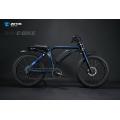 Powerful electric bike 48V 1000W ebike