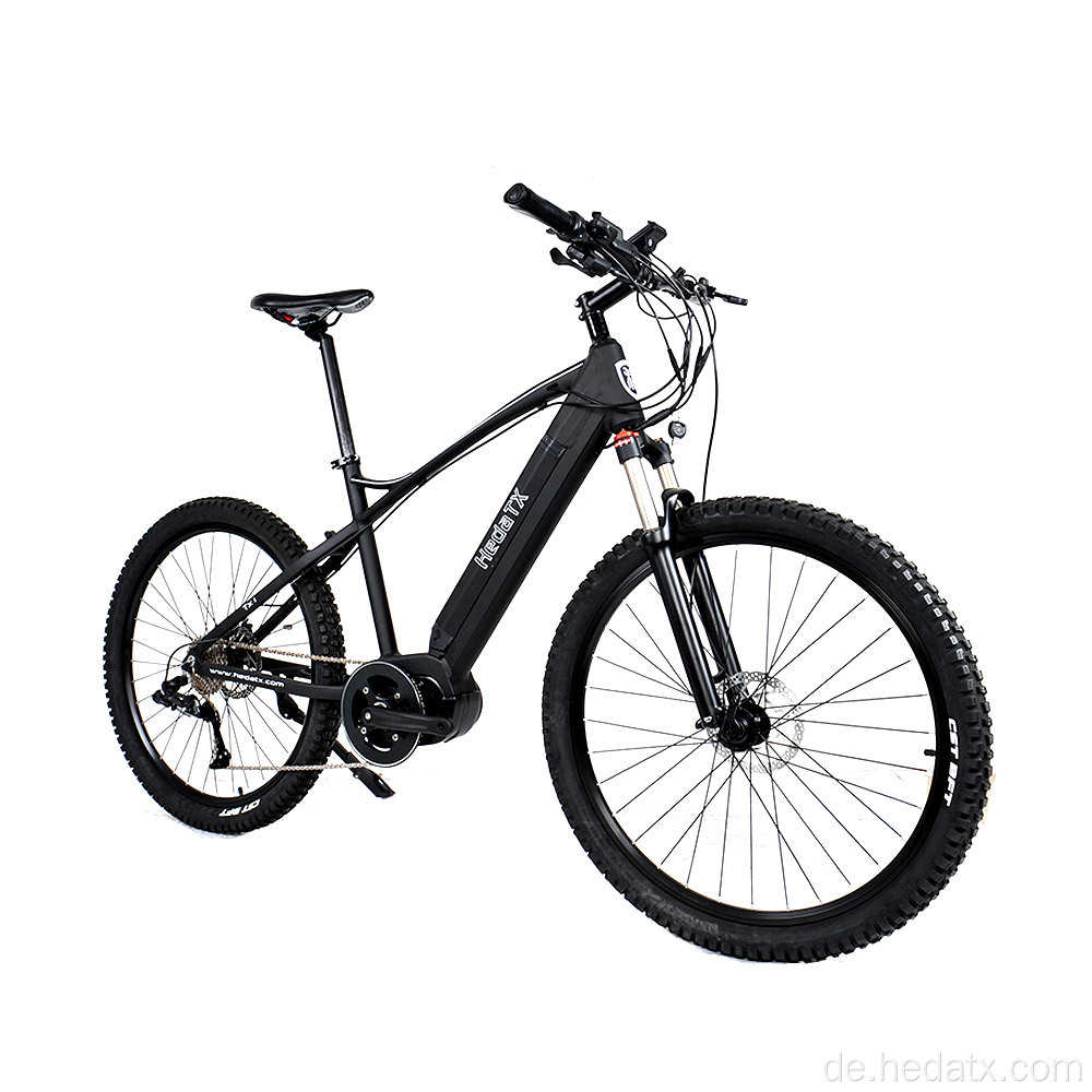 Lithiumbetriebenes elektrisches Mountainbike