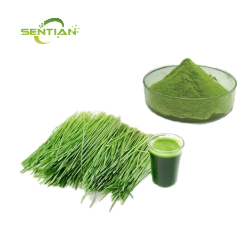 Supply Grass Fruit Extract Powder
