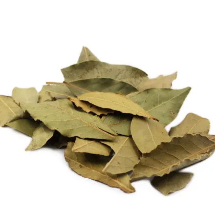 Wholesale Dry Bay Leaf and Dried Laurel Leaves Seasoning Supplier