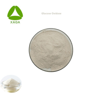 Food Preservatives Glucose Oxidase Enzyme Powder 9001-37-0