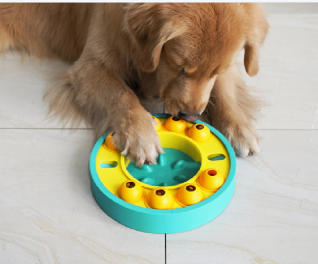 Dog Slow Feeder Bowl Details 5