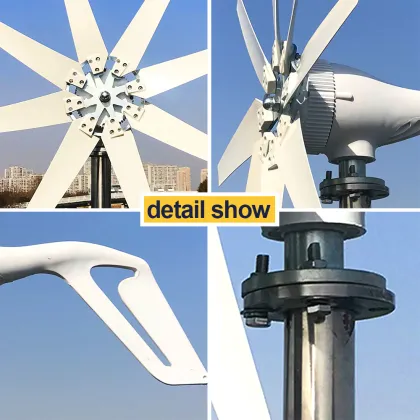 1KW 12V 24V domestic wind turbine Wind Turbine White