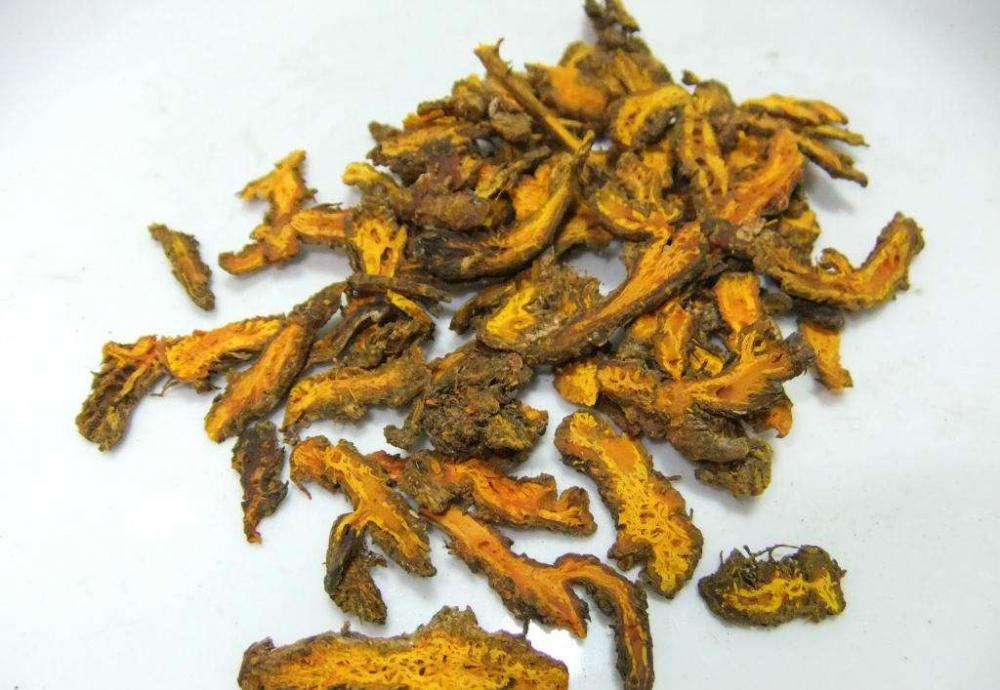 Chinese Herbs Radix Coptis