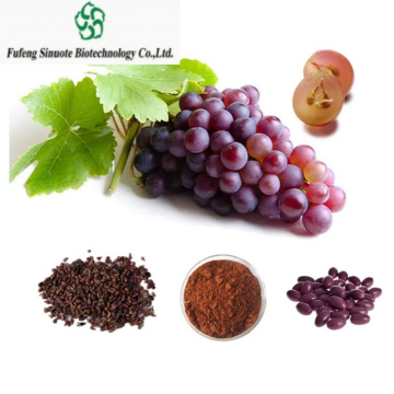 Vitis Vinifera Extract Rich in Polyphenols for Ultimate Antioxidant Support